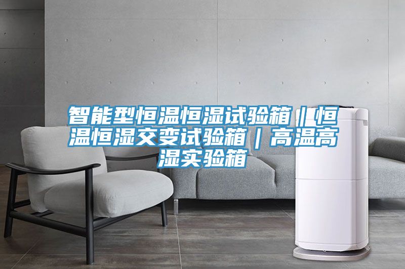 智能型恒溫恒濕試驗箱｜恒溫恒濕交變試驗箱｜高溫高濕實(shí)驗箱
