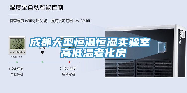 成都大型恒溫恒濕實(shí)驗室 高低溫老化房