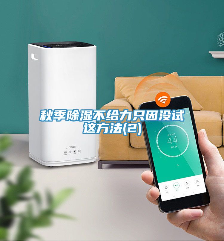 秋季除濕不給力只因沒(méi)試這方法(2)
