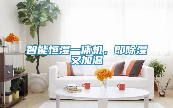 智能恒濕一體機，即除濕又加濕