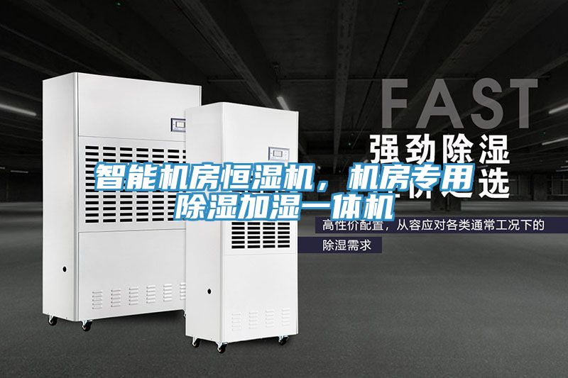 智能機房恒濕機，機房專(zhuān)用除濕加濕一體機