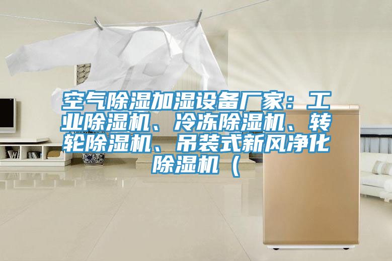 空氣除濕加濕設備廠(chǎng)家：工業(yè)除濕機、冷凍除濕機、轉輪除濕機、吊裝式新風(fēng)凈化除濕機（