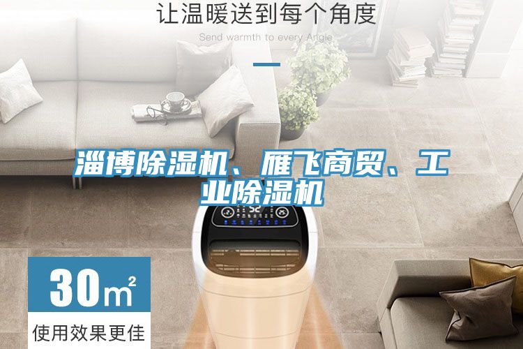 淄博除濕機、雁飛商貿、工業(yè)除濕機