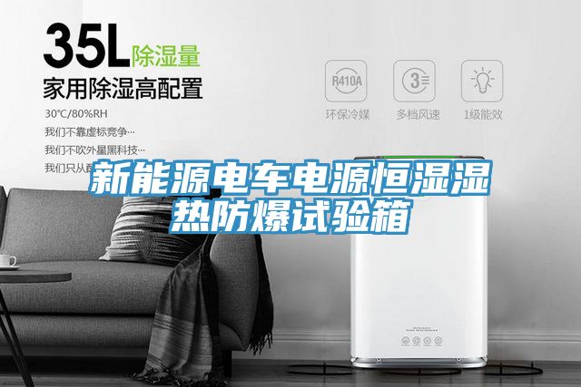 新能源電車(chē)電源恒濕濕熱防爆試驗箱