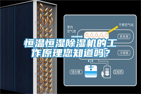 恒溫恒濕除濕機的工作原理您知道嗎？