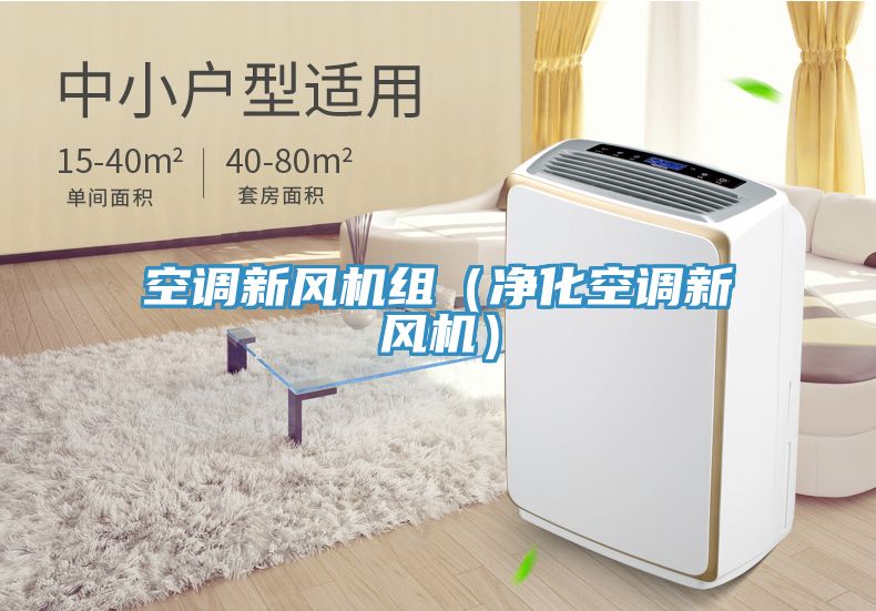 空調新風(fēng)機組（凈化空調新風(fēng)機）