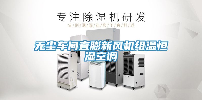 無(wú)塵車(chē)間直膨新風(fēng)機組溫恒濕空調