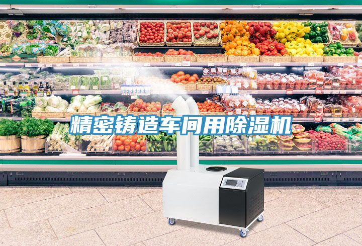 精密鑄造車(chē)間用除濕機