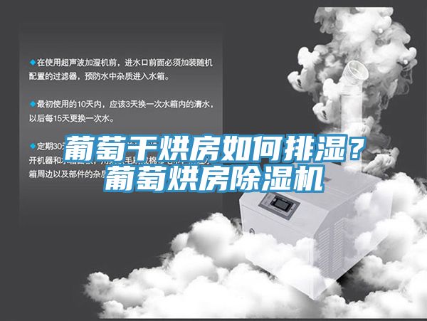 葡萄干烘房如何排濕？葡萄烘房除濕機