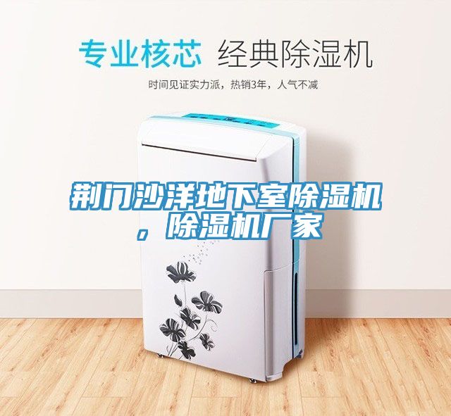 荊門(mén)沙洋地下室除濕機，除濕機廠(chǎng)家