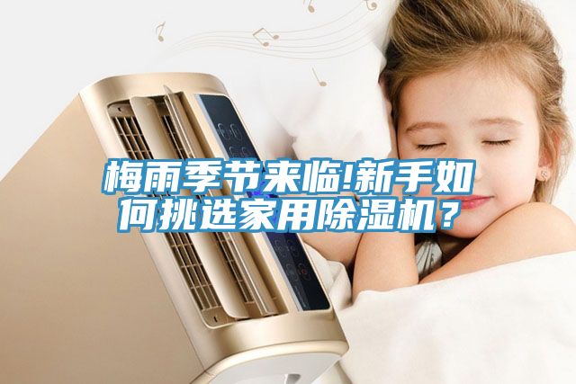 梅雨季節來(lái)臨!新手如何挑選家用除濕機？