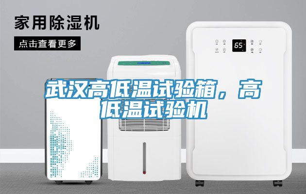 武漢高低溫試驗箱，高低溫試驗機