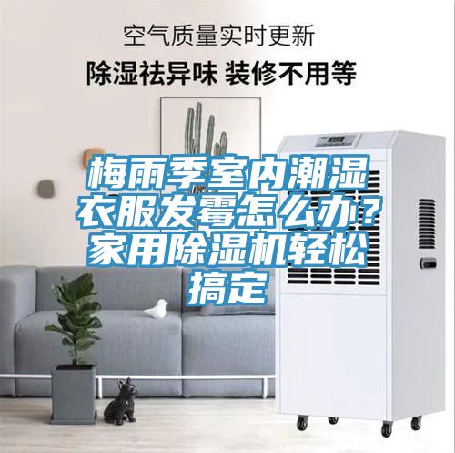 梅雨季室內潮濕衣服發(fā)霉怎么辦？家用除濕機輕松搞定