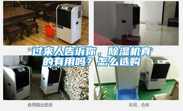 過(guò)來(lái)人告訴你，除濕機真的有用嗎？怎么選購