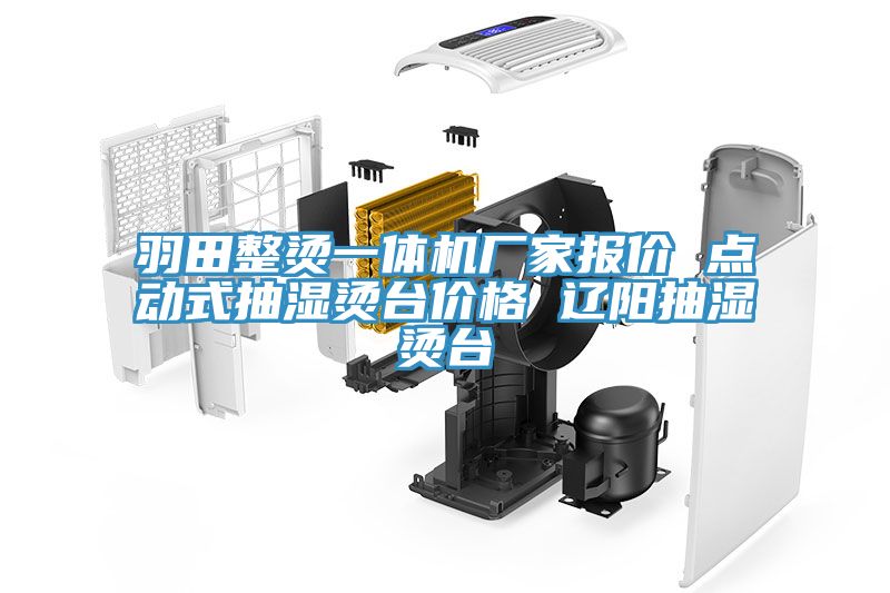 羽田整燙一體機廠(chǎng)家報價(jià) 點(diǎn)動(dòng)式抽濕燙臺價(jià)格 遼陽(yáng)抽濕燙臺