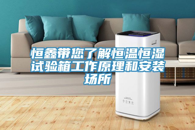 恒鑫帶您了解恒溫恒濕試驗箱工作原理和安裝場(chǎng)所