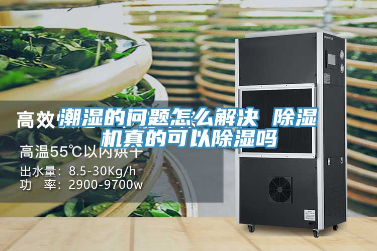 潮濕的問(wèn)題怎么解決 除濕機真的可以除濕嗎