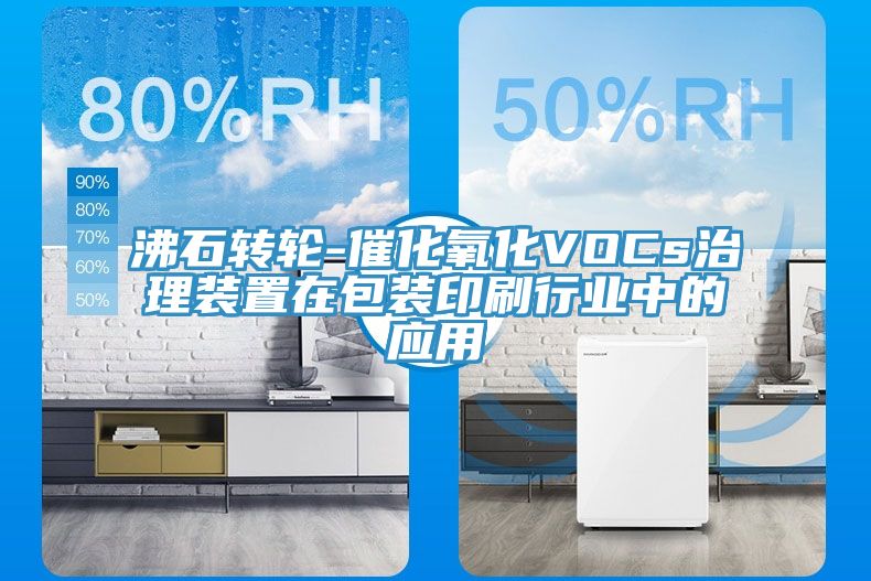 沸石轉輪-催化氧化VOCs治理裝置在包裝印刷行業(yè)中的應用