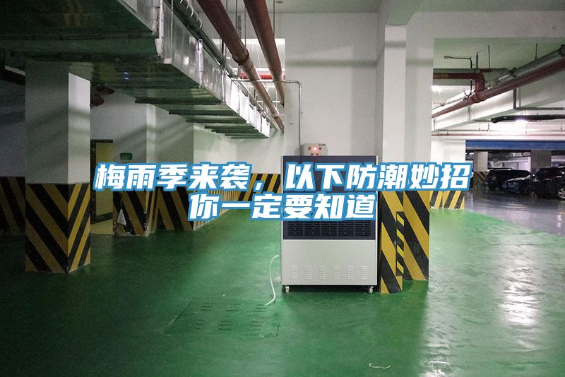 梅雨季來(lái)襲，以下防潮妙招你一定要知道