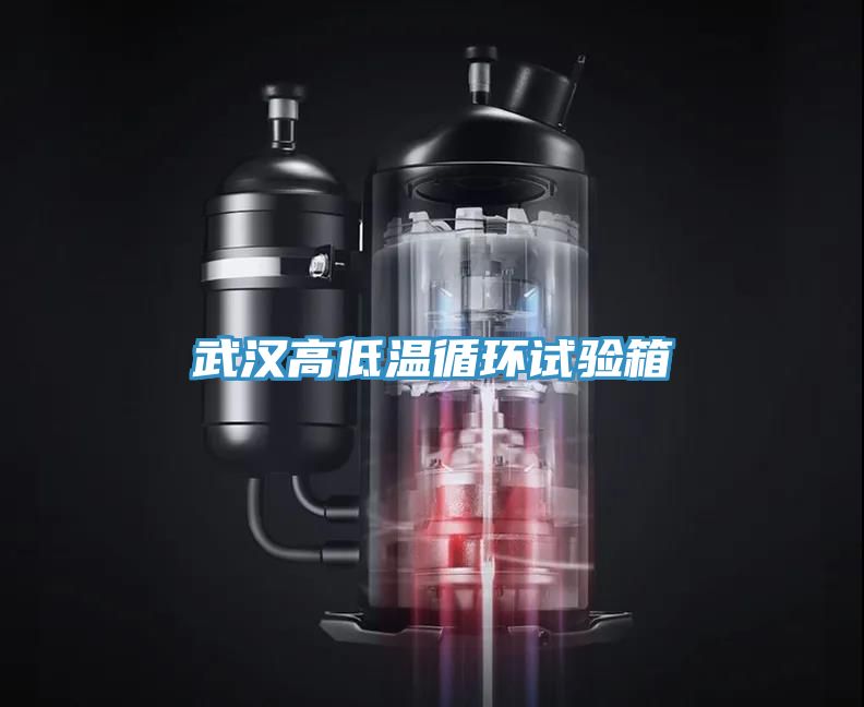 武漢高低溫循環(huán)試驗箱