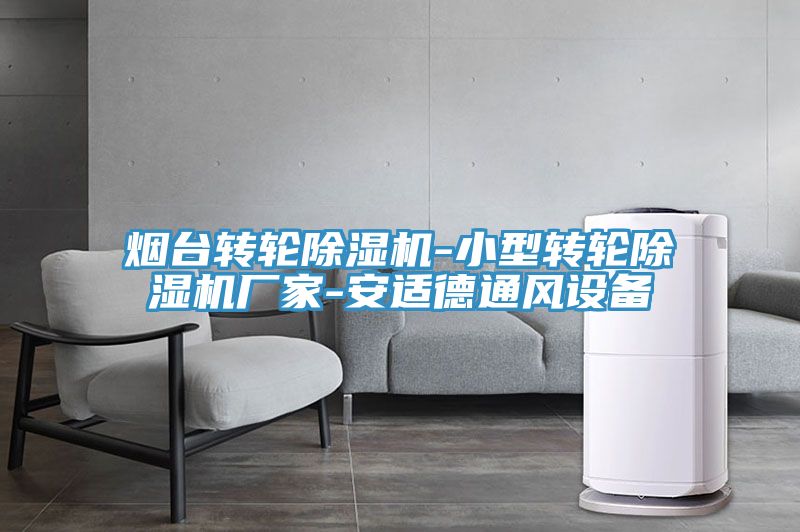 煙臺轉輪除濕機-小型轉輪除濕機廠(chǎng)家-安適德通風(fēng)設備