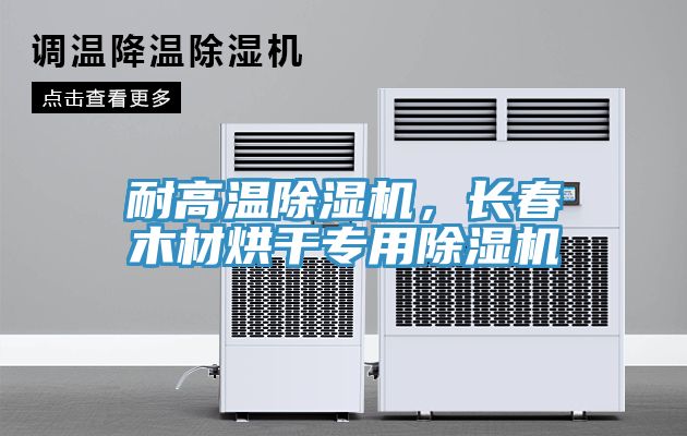 耐高溫除濕機，長(cháng)春木材烘干專(zhuān)用除濕機