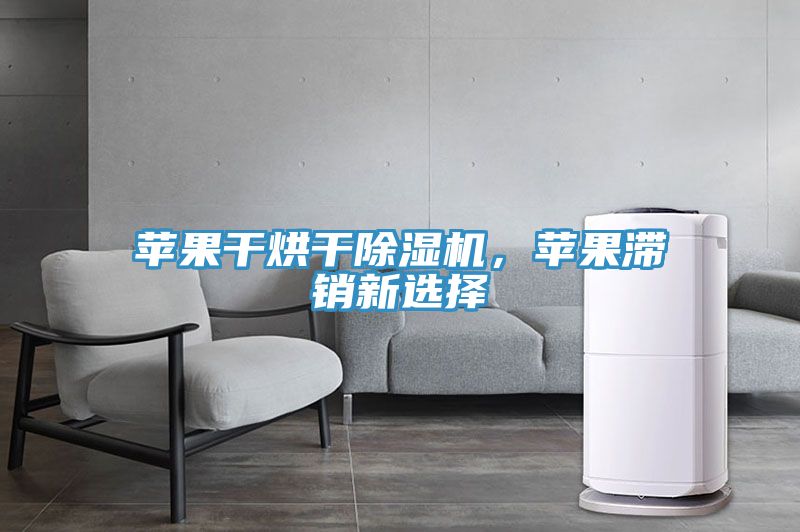 蘋(píng)果干烘干除濕機，蘋(píng)果滯銷(xiāo)新選擇