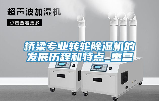 橋梁專(zhuān)業(yè)轉輪除濕機的發(fā)展歷程和特點(diǎn)_重復