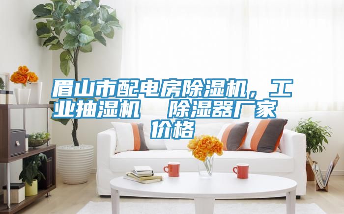 眉山市配電房除濕機，工業(yè)抽濕機  除濕器廠(chǎng)家 價(jià)格