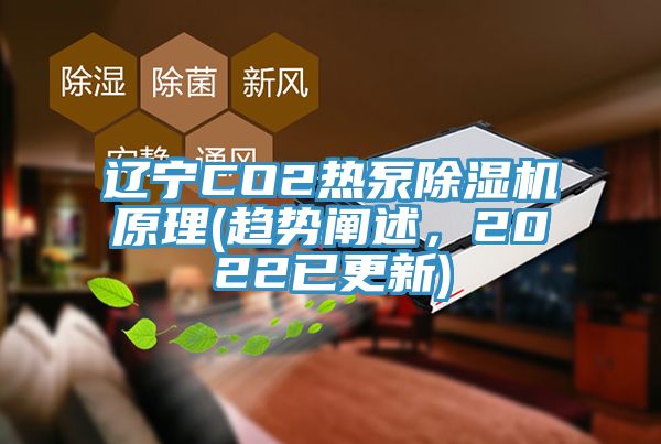 遼寧CO2熱泵除濕機原理(趨勢闡述，2022已更新)