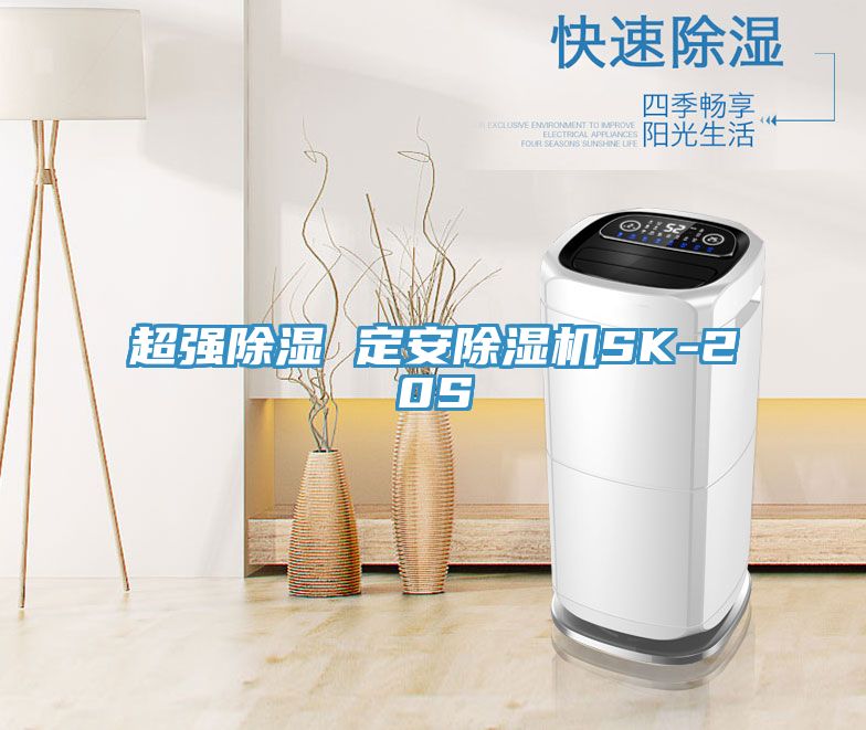 超強除濕 定安除濕機SK-20S