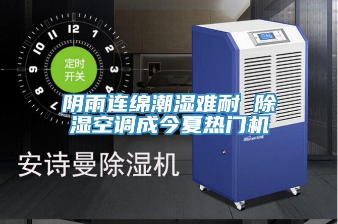 陰雨連綿潮濕難耐 除濕空調成今夏熱門(mén)機