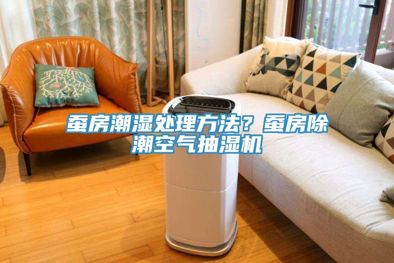 蠶房潮濕處理方法？蠶房除潮空氣抽濕機