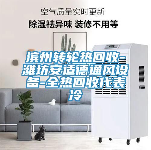 濱州轉輪熱回收-濰坊安適德通風(fēng)設備-全熱回收代表冷