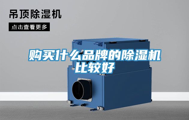 購買(mǎi)什么品牌的除濕機比較好