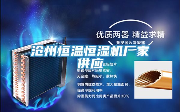 滄州恒溫恒濕機廠(chǎng)家供應