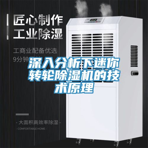 深入分析下迷你轉輪除濕機的技術(shù)原理