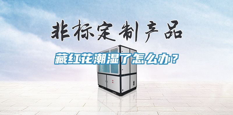 藏紅花潮濕了怎么辦？