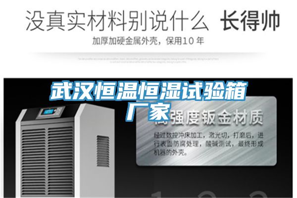 武漢恒溫恒濕試驗箱廠(chǎng)家