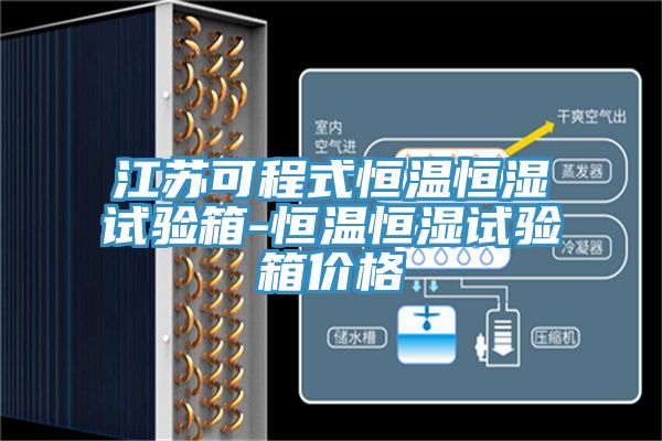 江蘇可程式恒溫恒濕試驗箱-恒溫恒濕試驗箱價(jià)格