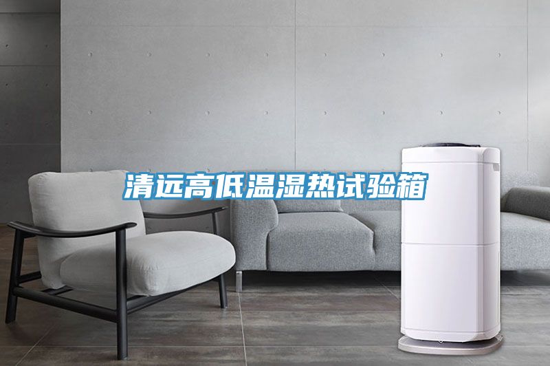 清遠高低溫濕熱試驗箱
