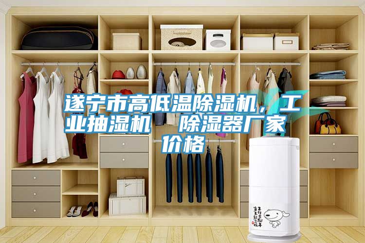 遂寧市高低溫除濕機，工業(yè)抽濕機  除濕器廠(chǎng)家 價(jià)格