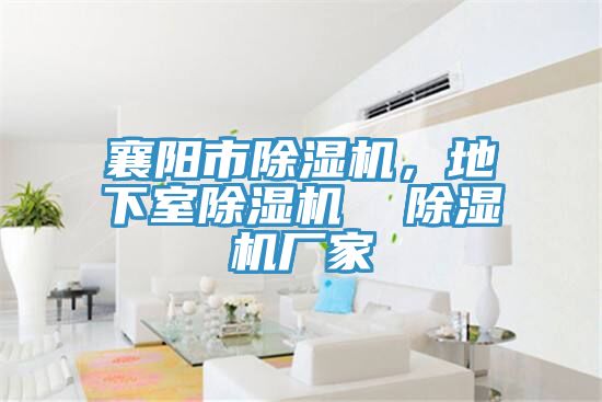 襄陽(yáng)市除濕機，地下室除濕機  除濕機廠(chǎng)家