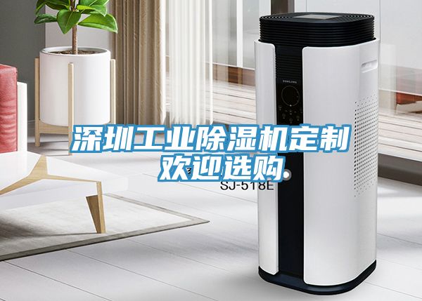 深圳工業(yè)除濕機定制 歡迎選購