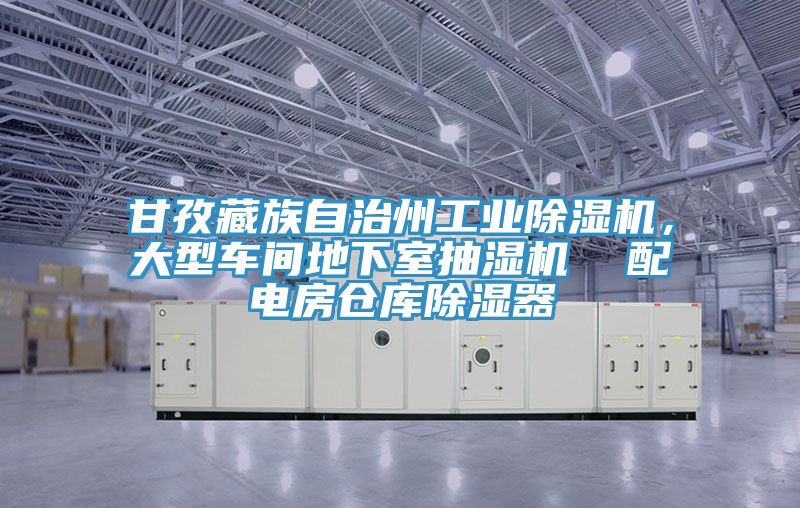 甘孜藏族自治州工業(yè)除濕機，大型車(chē)間地下室抽濕機  配電房倉庫除濕器