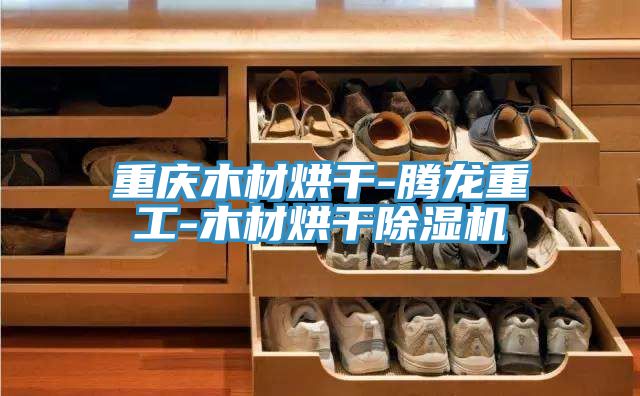 重慶木材烘干-騰龍重工-木材烘干除濕機