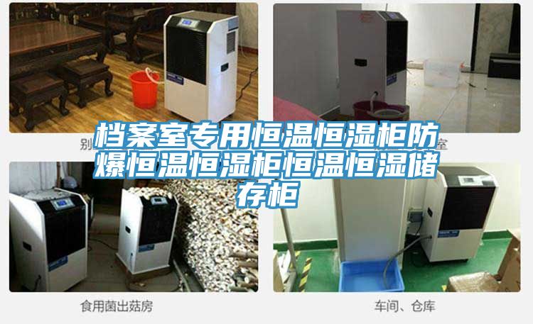 檔案室專(zhuān)用恒溫恒濕柜防爆恒溫恒濕柜恒溫恒濕儲存柜