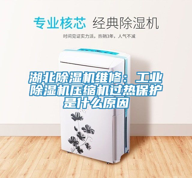 湖北除濕機維修：工業(yè)除濕機壓縮機過(guò)熱保護是什么原因