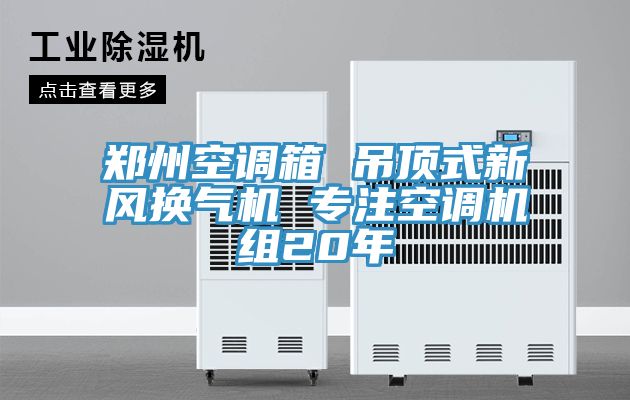 鄭州空調箱 吊頂式新風(fēng)換氣機 專(zhuān)注空調機組20年