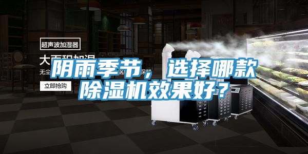 陰雨季節，選擇哪款除濕機效果好？